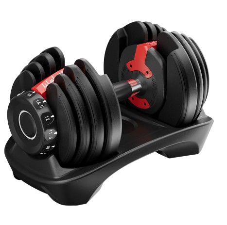 Read more about the article Lifelong Adjustable Dumbbell Review: Is It the Best Home Gym Equipment in 2025?