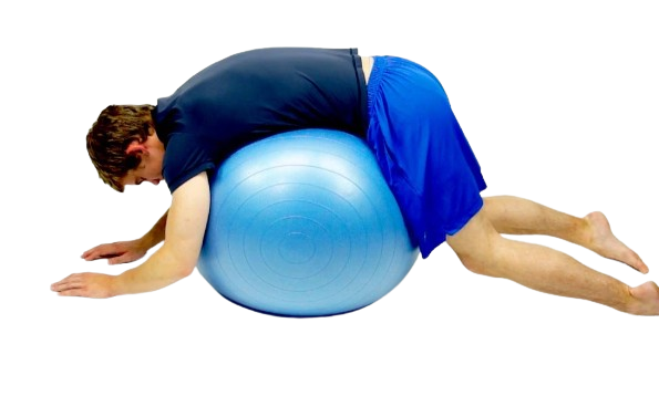 STRAUSS Anti-Burst Rubber Stability Ball Review 2025: Is It Worth It for Home Workouts?