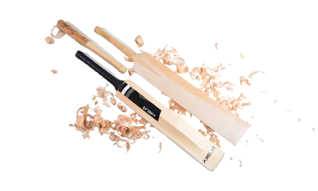 How to Choose the Right Cricket Bat That Helps You Play Well