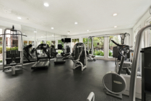 Read more about the article Top 10 Home Gym Equipment for Cardio Workouts