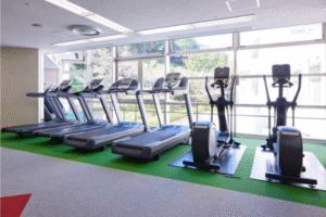 Read more about the article Top 5 Best Treadmills for Cardio Workouts in 2025