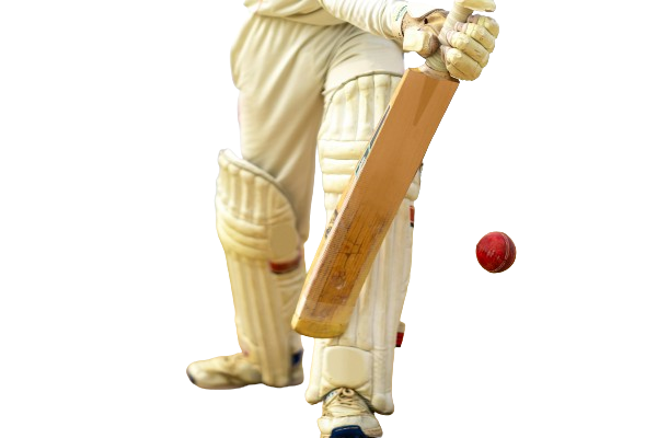 Read more about the article How to Choose the Right Cricket Bat That Helps You Play Well